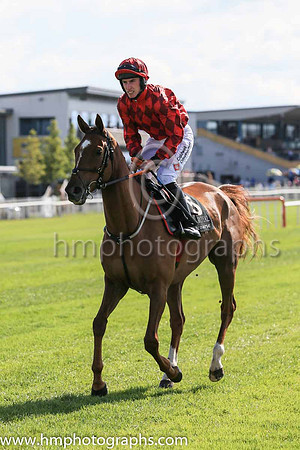 01st Banks Boy and J.W. Kennedy (5 ,red and black diamonds ), Trainer:Gordon Elliott , Owner:Mrs Ann Marie McManus