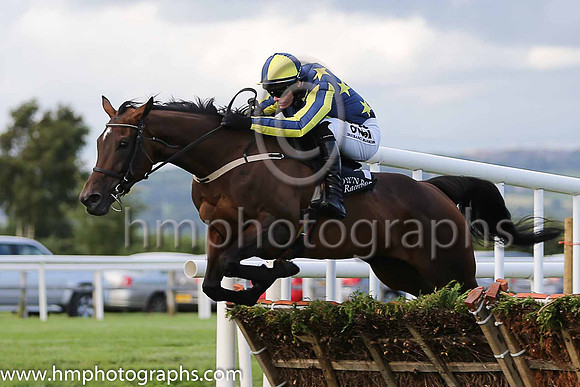 Bobarlee and Paul Townend (1, dark blue, yellow stars), trainer W P Mullins