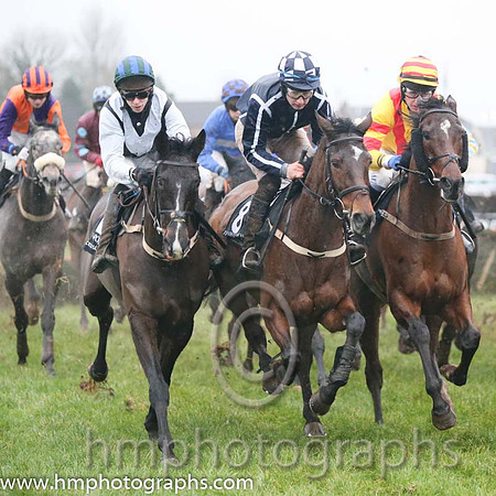 08 Sultana Belle and Anthony Fox - - 08th (8 ,dark blue, white seams ) Trainer - S R B Crawford
