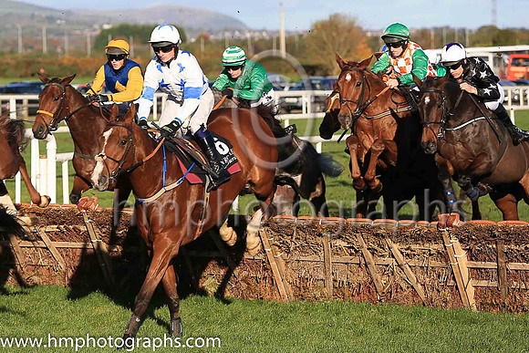 13th Jack The Wire and D G Hogan ( 6 , white, royal blue stars ) Trainer - Denis Hogan , Owner - M G Hogan