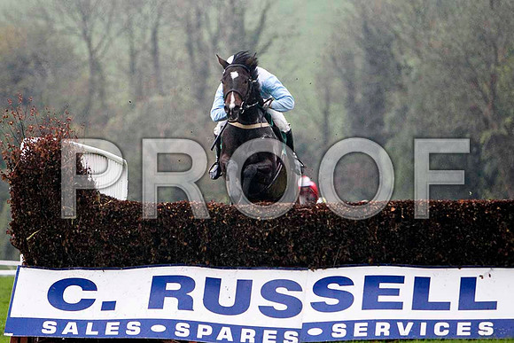 Strolling Home , 3rd - Jockey A P Thornton - FT8E5392-e