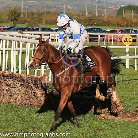 13th Jack The Wire and D G Hogan ( 6 , white, royal blue stars ) Trainer - Denis Hogan , Owner - M G Hogan