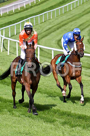 Run and Dream 8th, Jockey D j Bates & Gettysburg 11th, Jockey E J O'Connell- CU2D1772-e