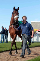 Ella Mia , 10th, Jockey J L Cullen -CU2D9312-e