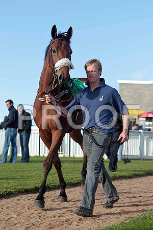 Ella Mia , 10th, Jockey J L Cullen -CU2D9312-e