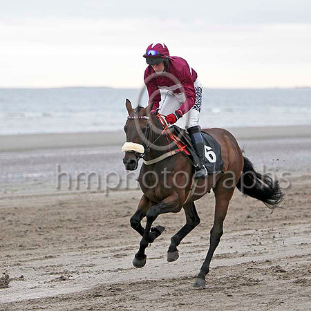 Benedict Spirit , 10th Jockey Mr D Murphy -FT8E4430-e