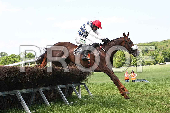 Second Race - Second Race - Kondraki (2) Fell at the last, Rider Derek O'Connor - IMG_0334-e