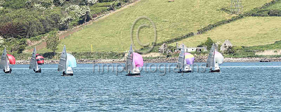 1st, Gold, 14256, Ger Owens & Melanie Morris, Wicklow SC & East Antrim BC - 1, 1, (2), 1, 1, 1 - Total = 7, Nett = 5