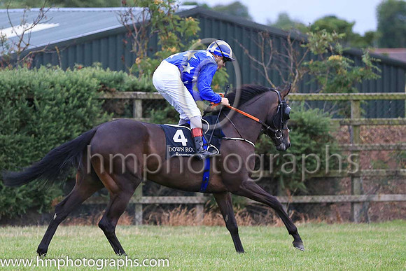 01st Cache Queen and R P Whelan ( 4 , blue, white stars ) Trainer - A McGuinness , Owner - Conor Hughes