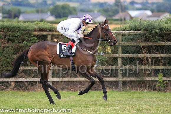 03rd New Vocatio nand K J Manning ( 5 , white, purple panel ) Trainer - J S Bolger , Owner - Mrs J S Bolger