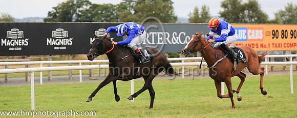 02nd Rocky Blue and N G McCullagh ( 3 , blue, white hoop ) Trainer - T Mullins , Owner - Rory F Larkin
