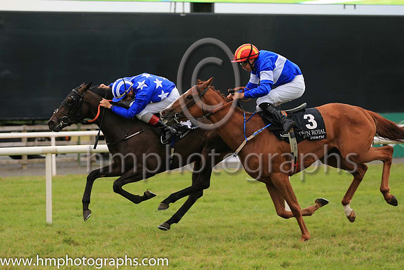 02nd Rocky Blue and N G McCullagh ( 3 , blue, white hoop ) Trainer - T Mullins , Owner - Rory F Larkin