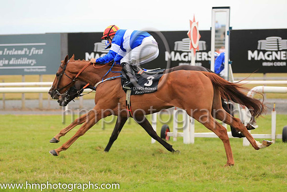 02nd Rocky Blue and N G McCullagh ( 3 , blue, white hoop ) Trainer - T Mullins , Owner - Rory F Larkin