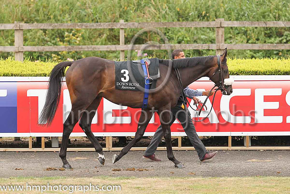 01st No Needs Neverand D O?Brien ( 3 , dark green ) Trainer - Joseph P O'Brien , Owner - Mark Dobbin  Philip Antonacci