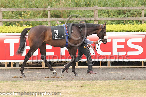 01st No Needs Neverand D O?Brien ( 3 , dark green ) Trainer - Joseph P O'Brien , Owner - Mark Dobbin  Philip Antonacci
