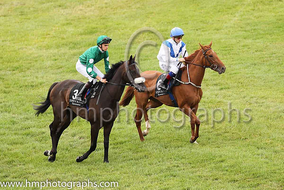 01st No Needs Neverand D O?Brien ( 3 , dark green ) Trainer - Joseph P O'Brien , Owner - Mark Dobbin  Philip Antonacci