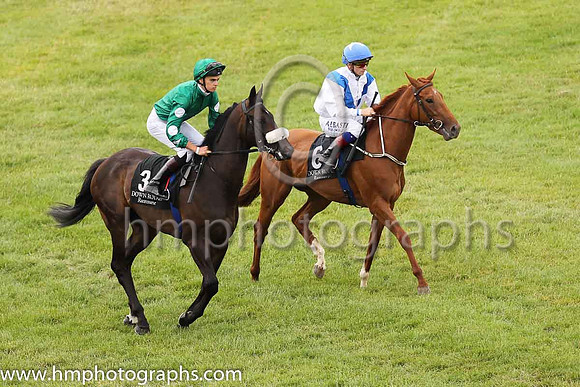 5th The Ladyps Bid and C D Hayes ( 6 , white, blue chevron ) Trainer - P M Rogers , Owner - Grange Racing Syndicate