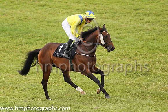 03rd Biltmoreand S B Kelly 3 ( 1 , yellow, blue epaulettes ) Trainer - J P Murtagh , Owner - Dr Michael Smurfit  Anthony Paul Smurfit  Samuel M Mencoff