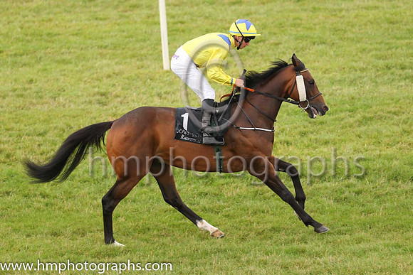 03rd Biltmoreand S B Kelly 3 ( 1 , yellow, blue epaulettes ) Trainer - J P Murtagh , Owner - Dr Michael Smurfit  Anthony Paul Smurfit  Samuel M Mencoff