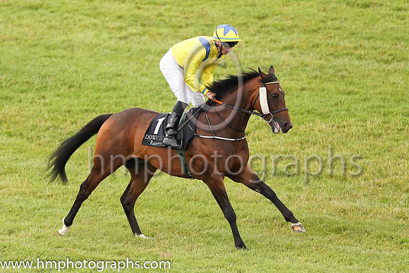 03rd Biltmoreand S B Kelly 3 ( 1 , yellow, blue epaulettes ) Trainer - J P Murtagh , Owner - Dr Michael Smurfit  Anthony Paul Smurfit  Samuel M Mencoff