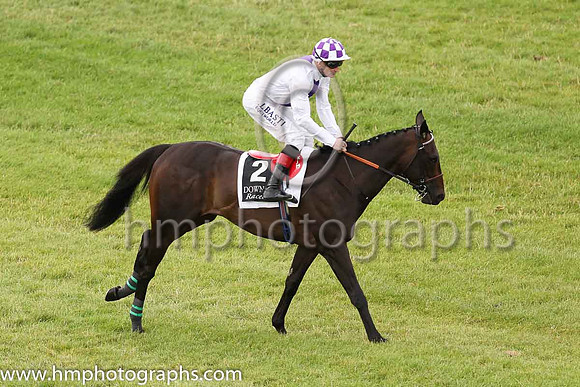 02nd Cruciatusand K J Manning ( 2 , white, purple panel ) Trainer - J S Bolger , Owner - Mrs J S Bolger