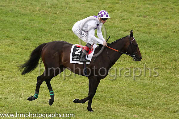 02nd Cruciatusand K J Manning ( 2 , white, purple panel ) Trainer - J S Bolger , Owner - Mrs J S Bolger
