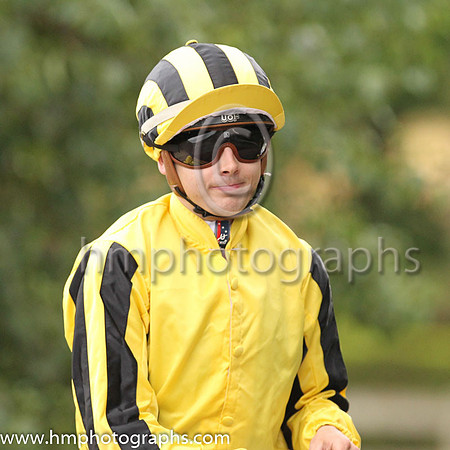 02nd Caesa'?s Cometand R P Whelan ( 3 , yellow ) Trainer - Peter Fahey , Owner - Kildare Racing Club
