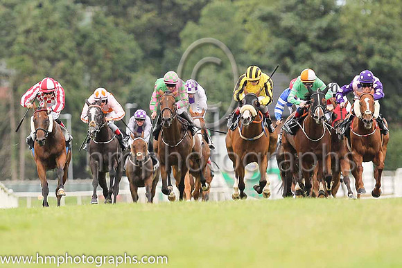 01st Very Smart and K J Leonard 3 ( 11 , Very Smart ) Trainer - P Martin , Owner - T F Brennan