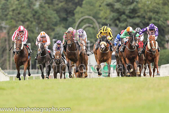 02nd Caesar's Cometand R P Whelan ( 3 , yellow ) Trainer - Peter Fahey , Owner - Kildare Racing Club