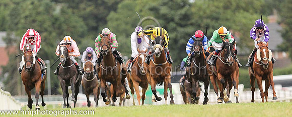 01st Very Smart and K J Leonard 3 ( 11 , Very Smart ) Trainer - P Martin , Owner - T F Brennan