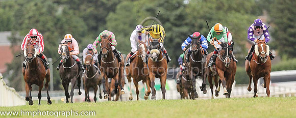 02nd Caesar?s Cometand R P Whelan ( 3 , yellow ) Trainer - Peter Fahey , Owner - Kildare Racing Club