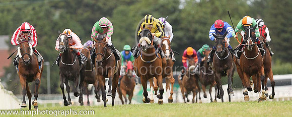 01st Very Smart and K J Leonard 3 ( 11 , Very Smart ) Trainer - P Martin , Owner - T F Brennan