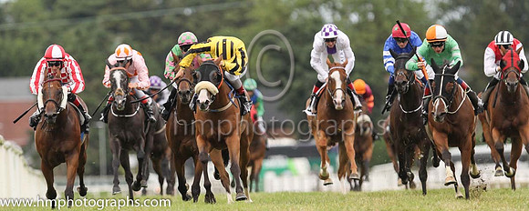 01st Very Smart and K J Leonard 3 ( 11 , Very Smart ) Trainer - P Martin , Owner - T F Brennan