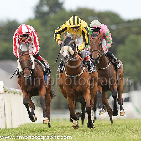 02nd Caesar?s Comet and R P Whelan ( 3 , yellow ) Trainer - Peter Fahey , Owner - Kildare Racing Club
