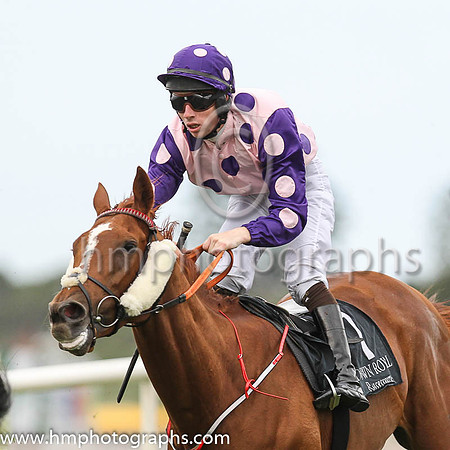03rd Secret Memories and G P Brouder 7 ( 7 , pink, purple spots ) Trainer - Miss Brown , Owner - Miss Katy Brown
