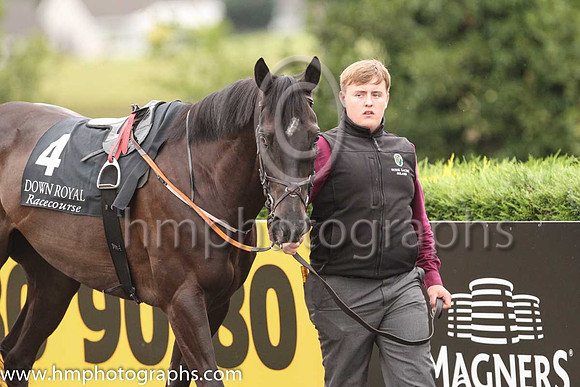 03rd On The Go Again and G F Carroll ( 4 , green and pink qtrd ) Trainer - Michael Mulvany , Owner - L Mulvany