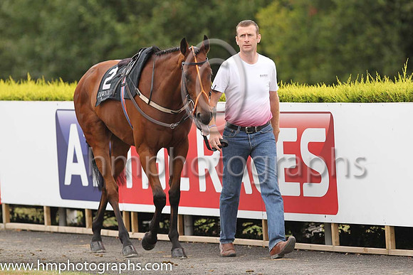 02nd Laws Of Spin and C T Keane ( 2 , green, green sleeves, orange hoops ) Trainer - W P Mullins , Owner - Ballylinch Stud