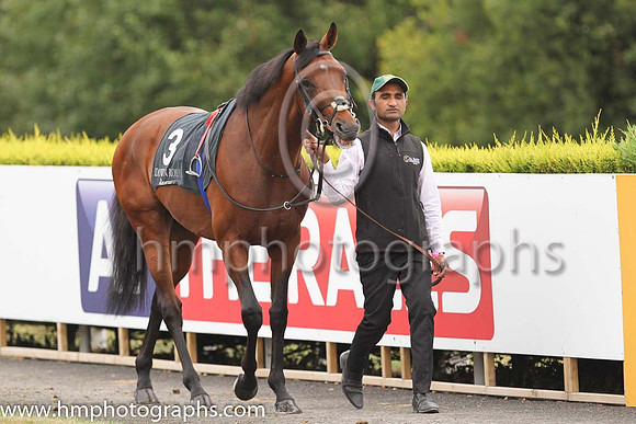 04th Light Pillar and D O'Brien ( 3 , Pale blue, cerise cross ) Trainer - Joseph P O'Brien , Owner - Rafferty's Rules Syndicate