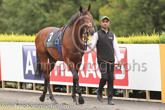 04th Light Pillarand D O'Brien ( 3 , Pale blue, cerise cross ) Trainer - Joseph P O'Brien , Owner - Rafferty's Rules Syndicate