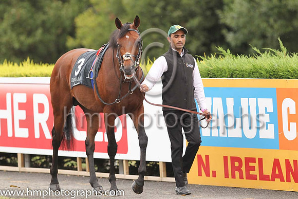 04th Light Pillar and D O'Brien ( 3 , Pale blue, cerise cross ) Trainer - Joseph P O'Brien , Owner - Rafferty's Rules Syndicate