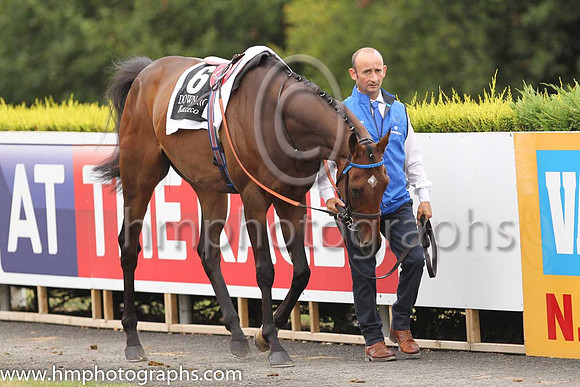 01st Twilight Payment and K J Manning ( 6 , royal blue, dark blue seams ) Trainer - J S Bolger , Owner - Godolphin