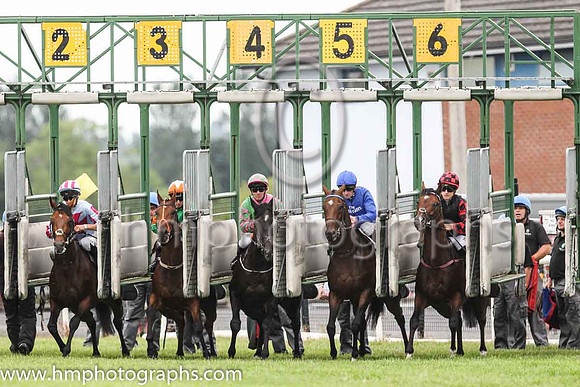 01st Twilight Payment and K J Manning ( 6 , royal blue, dark blue seams ) Trainer - J S Bolger , Owner - Godolphin