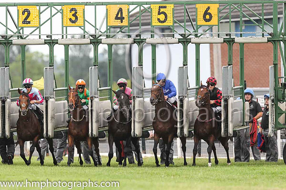 01st Twilight Payment and K J Manning ( 6 , royal blue, dark blue seams ) Trainer - J S Bolger , Owner - Godolphin