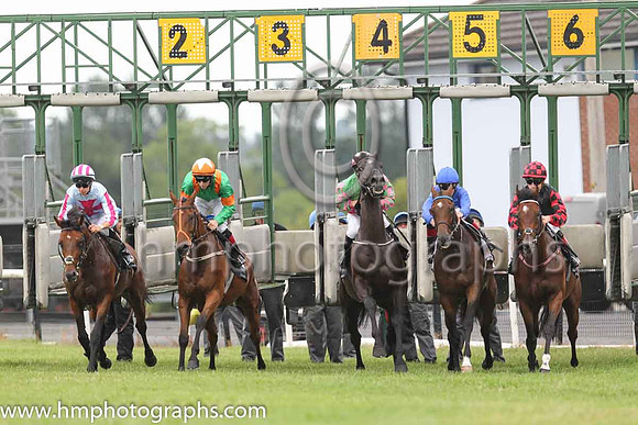 02nd Laws Of Spin and C T Keane ( 2 , green, green sleeves, orange hoops ) Trainer - W P Mullins , Owner - Ballylinch Stud