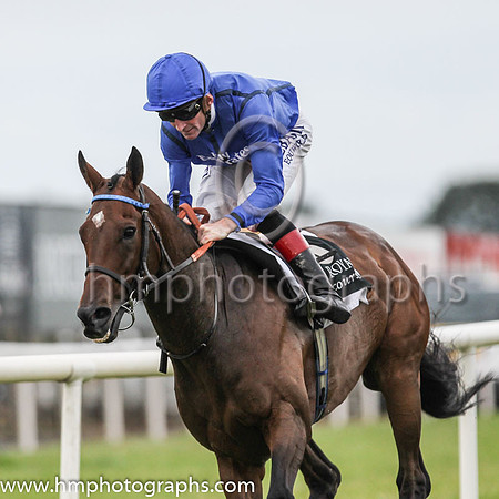 01st Twilight Payment and K J Manning ( 6 , royal blue, dark blue seams ) Trainer - J S Bolger , Owner - Godolphin