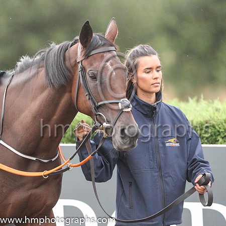 Stable Lass at Down Royal