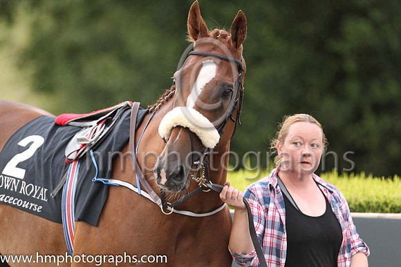 01st Sennockian Star and D E Hogan ( 2 , yellow, red stars ) Trainer - S Fahey , Owner - Michael Allen