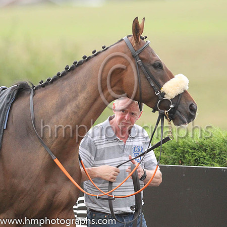 Stable lad at Down Royal