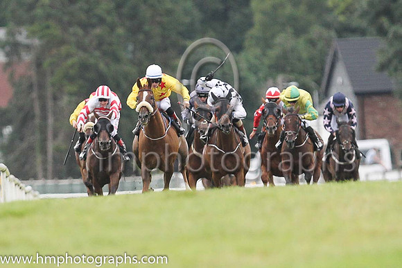 01st Sennockian Star and D E Hogan ( 2 , yellow, red stars ) Trainer - S Fahey , Owner - Michael Allen