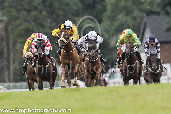01st Sennockian Star and D E Hogan ( 2 , yellow, red stars ) Trainer - S Fahey , Owner - Michael Allen